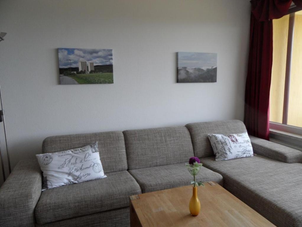 Ferienapartment Mit Schwimmbad Und Bergblick Braunlage Luaran gambar